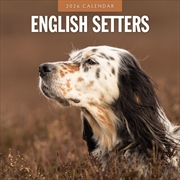 Buy English Setters 2026 Square Wall Calendar