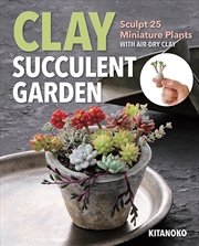 Buy Clay Succulent Garden