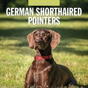 Buy German Shorthaired Pointers 2026 Square Wall Calendar