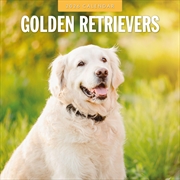 Buy Golden Retrievers 2026 Square Wall Calendar
