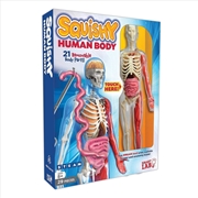 Buy Squishy Human Body