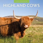 Buy Highland Cows 2026 Square Wall Calendar