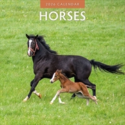 Buy Horses 2026 Square Wall Calendar