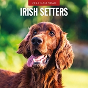 Buy Irish Setters 2026 Square Wall Calendar