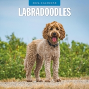 Buy Labradoodles 2026 Square Wall Calendar