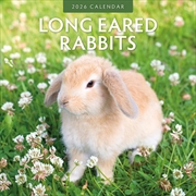 Buy Long Eared Rabbits 2026 Square Wall Calendar