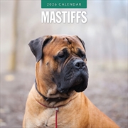 Buy Mastiffs 2026 Square Wall Calendar
