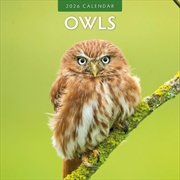 Buy Owls  2026 Square Wall Calendar