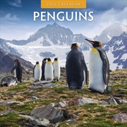 Buy Penguins 2026 Square Wall Calendar