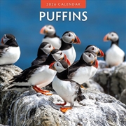 Buy Puffins 2026 Square Wall Calendar