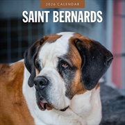 Buy Saint Bernards 2026 Square Wall Calendar