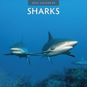Buy Sharks 2026 Square Wall Calendar