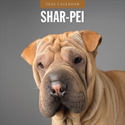 Buy Shar-Pei 2026 Square Wall Calendar