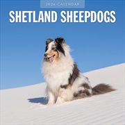 Buy Shetland Sheepdogs 2026 Square Wall Calendar