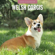 Buy Welsh Corgis 2026 Square Wall Calendar