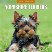 Buy Yorkshire Terriers 2026 Square Wall Calendar