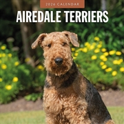 Buy Airedale Terriers 2026 Square Wall Calendar
