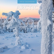 Buy Arctic 2026 Square Wall Calendar