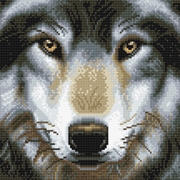 Buy CrystalArt - Wolf 30x30cm Kit