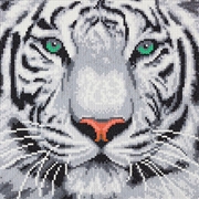Buy CrystalArt - White Tiger 30x30cm Kit