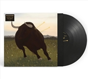 Buy Songs For The Spine