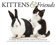 Buy Kittens Friends Box Calendar 2026