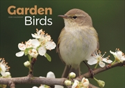 Buy Garden Birds A4 Calendar 2026