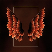 Buy Wings / Back To Africa