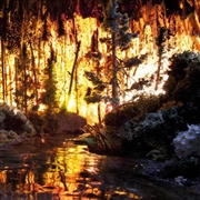 Buy Box Full Of Magic