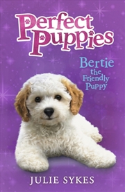 Buy Bertie The Friendly Puppy