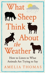 Buy What Sheep Think About The Weather : How To Listen To What Animals Are Trying To Say