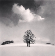 Buy Michael Kenna: Constellation