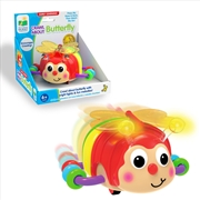 Buy Crawl About Butterfly