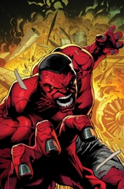 Buy Red Hulk Vol. 1