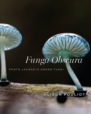 Buy Funga Obscura : Photo Journeys Among Fungi