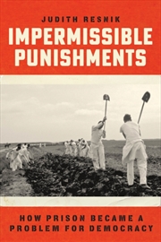 Buy Impermissible Punishments : How Prison Became A Problem For Democracy