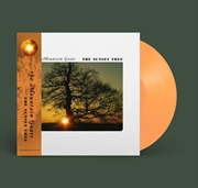 Buy The Sunset Tree - 20th Anniversary Edition Limited Apricot Vinyl
