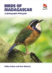 Buy Birds Of Madagascar : A Photographic Field Guide