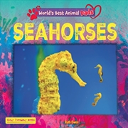 Buy Seahorses