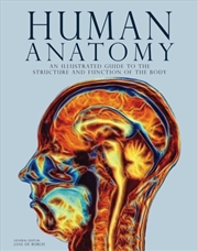 Buy Human Anatomy : An Illustrated Guide To The Structure And Function Of The Body