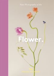 Buy Flower. : New Photography Of The