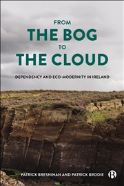 Buy From The Bog To The Cloud : Dependency And Eco-Modernity In Ireland