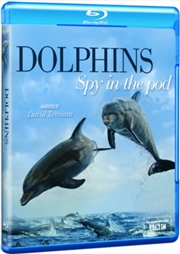 Buy Dolphins - Spy In The Pod