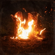 Buy Walk Through Fire