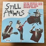 Buy Still Animals