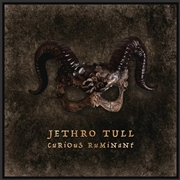 Buy Curious Ruminant