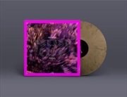 Buy Projekt Drums Vol. 2