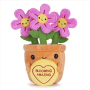 Buy Swizzels Love Hearts Blooming Amazing Flowers