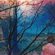 Buy Idlewild - Coolblue Coloured