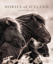Buy Horses of Iceland